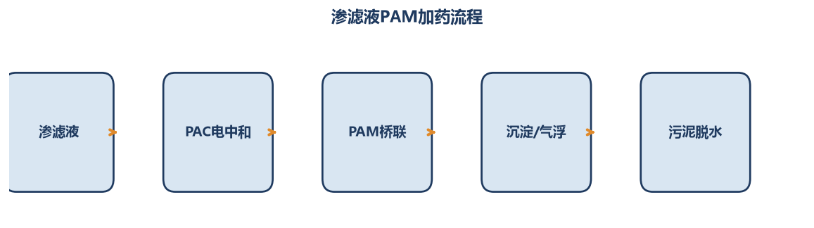 渗滤液PAM加药流程